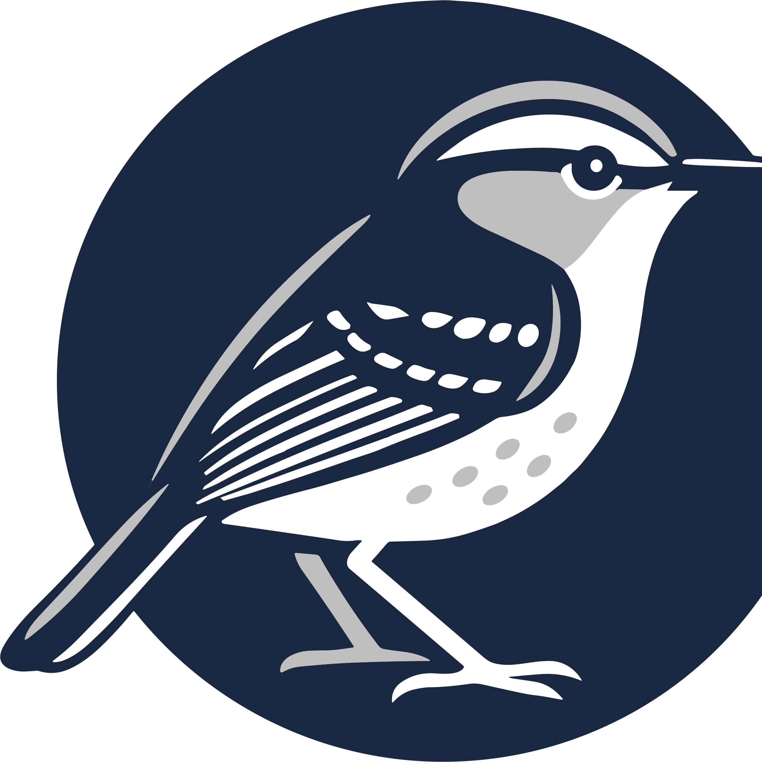 Insignia de la Fundación Roraima