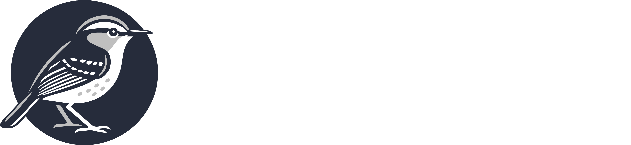 Fundación Roraima