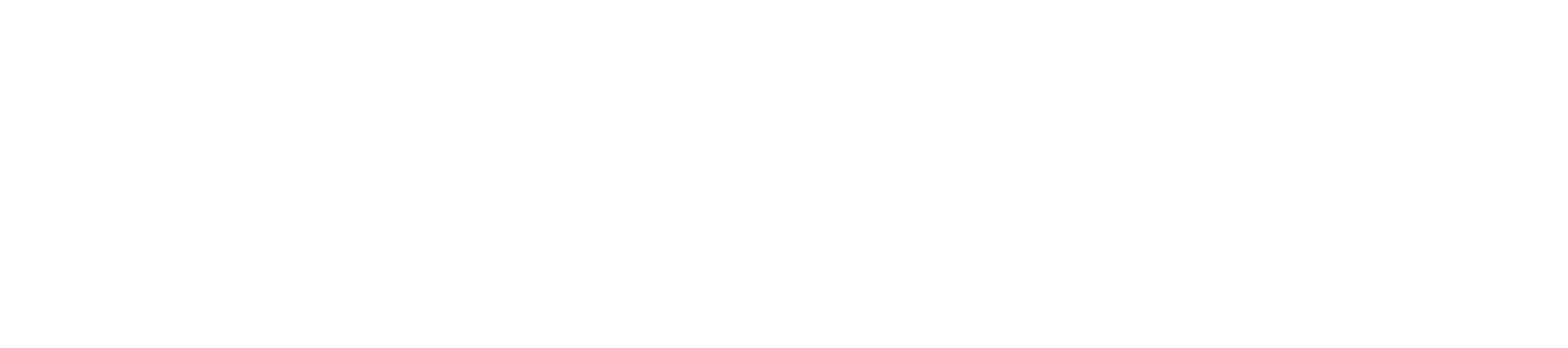 Roraima Airlines