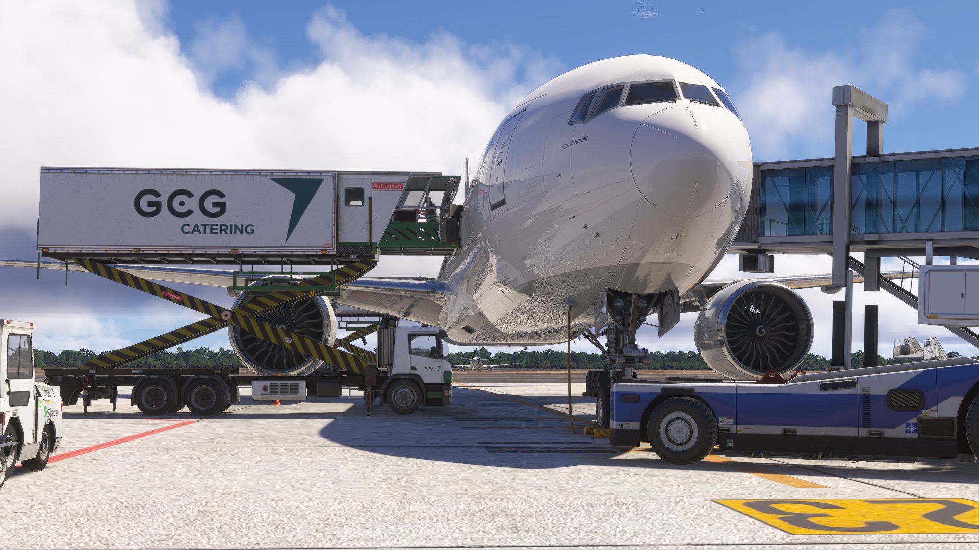 Boeing 777-300ER Águila Harpía de Roraima Airlines en puerta, con catering y tripulación de tierra